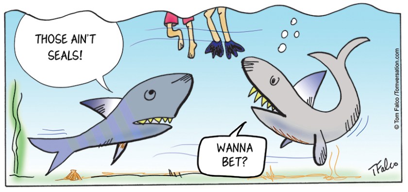 Shark-bet-print